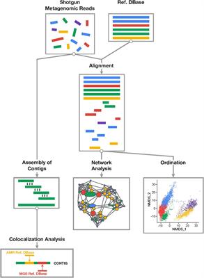 Mobilization of Antibiotic Resistance: Are Current Approaches for Colocalizing Resistomes and Mobilomes Useful?